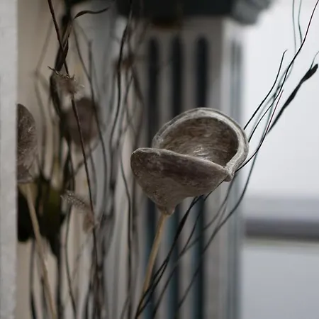 Oespede Carilo Ponteceso-costa Da Morte